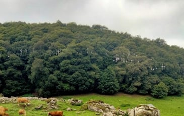 Conférence : Causerie sur la transhumance dans les hautes terres du Gévaudan