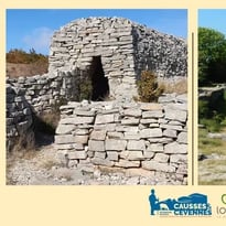 Exposition : Lavognes et Cazelles