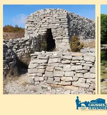 Exposition : Lavognes et Cazelles