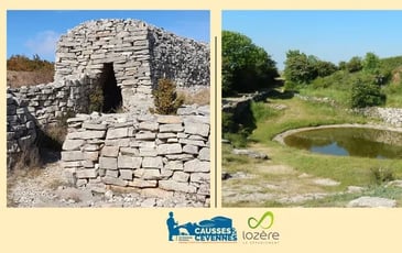 Exposition : Lavognes et Cazelles