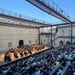 Orchestre national Montpellier Occitanie
